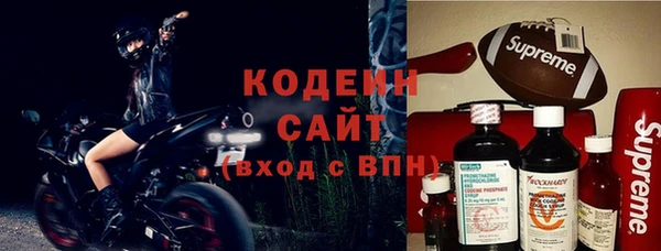 прущие грибы Гусев