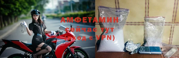 амф Гусь-Хрустальный