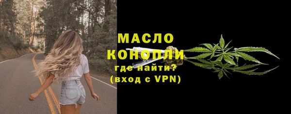 амф Гусь-Хрустальный