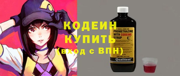 амф Гусь-Хрустальный