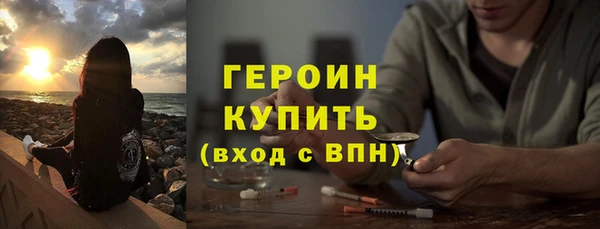 прущие грибы Гусев