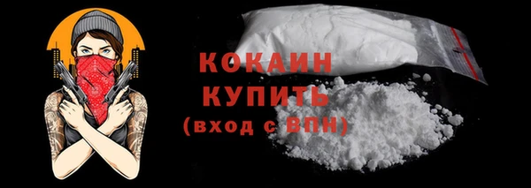 амф Гусь-Хрустальный