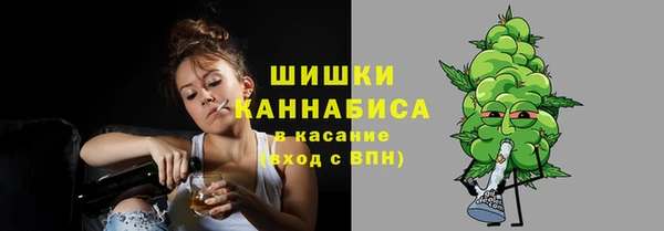 прущие грибы Гусев