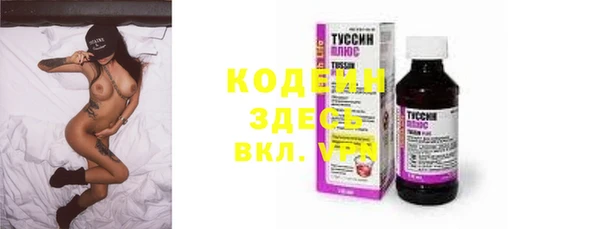 амф Гусь-Хрустальный