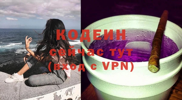 прущие грибы Гусев