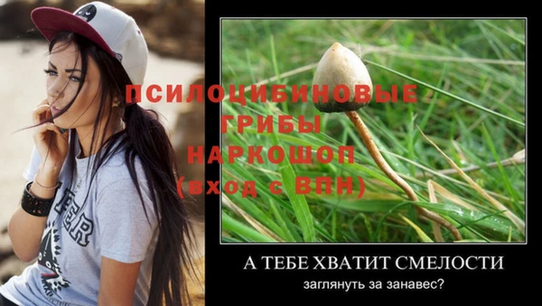 каннабис Гусиноозёрск