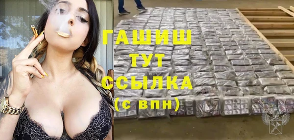 амф Гусь-Хрустальный