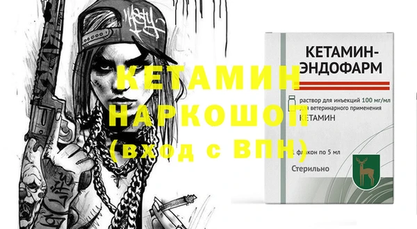 амф Гусь-Хрустальный