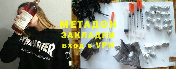 прущие грибы Гусев