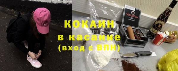 амф Гусь-Хрустальный